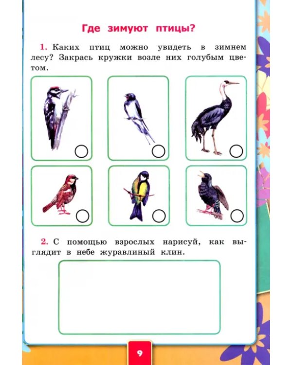 Окружающий мир. 1 класс. Рабочая тетрадь 2. К учебнику А.А. Плешакова. ФГОС новый