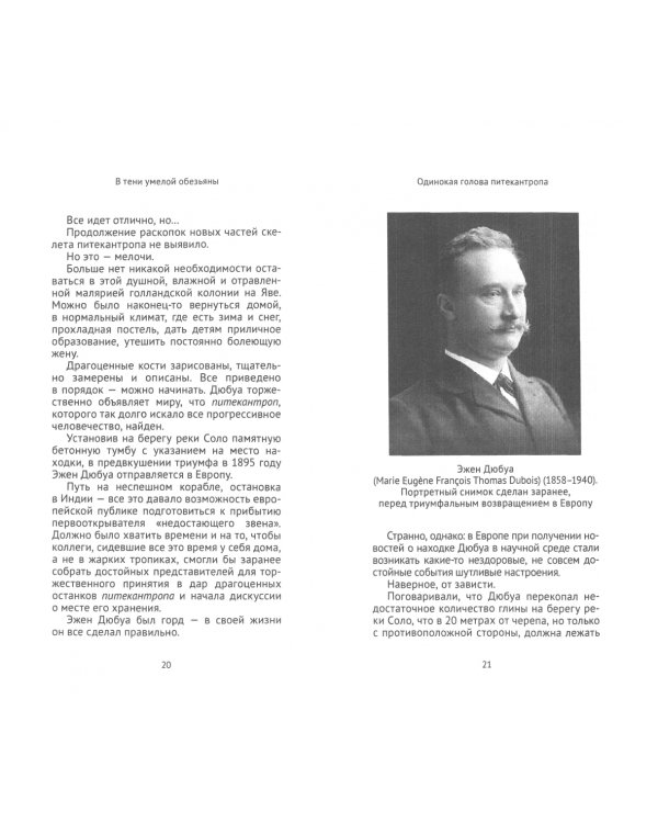 В тени умелой обезьяны. Приключения, великие открытия и заблуждения в археологии каменного века