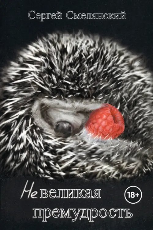 Невеликая премудрость Невеликая премудрость