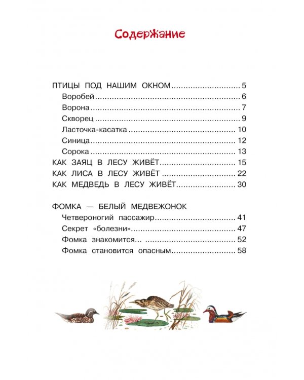 Фомка - белый медвежонок