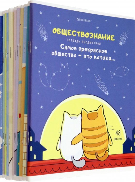 Комплект предметных тетрадей Кот-энтузиаст, 48 листов, клетка, линия, 12 штук