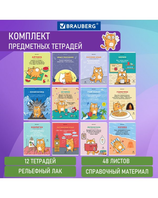 Комплект предметных тетрадей Кот-энтузиаст, 48 листов, клетка, линия, 12 штук