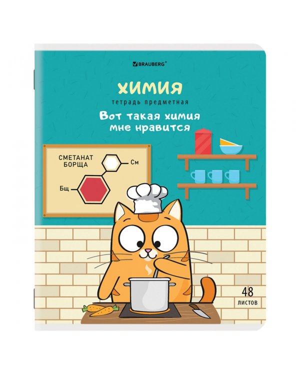 Комплект предметных тетрадей Кот-энтузиаст, 48 листов, клетка, линия, 12 штук