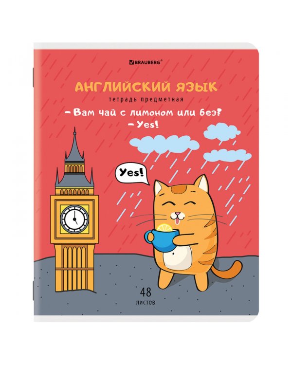 Комплект предметных тетрадей Кот-энтузиаст, 48 листов, клетка, линия, 12 штук