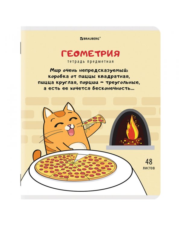 Комплект предметных тетрадей Кот-энтузиаст, 48 листов, клетка, линия, 12 штук