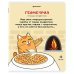 Комплект предметных тетрадей Кот-энтузиаст, 48 листов, клетка, линия, 12 штук