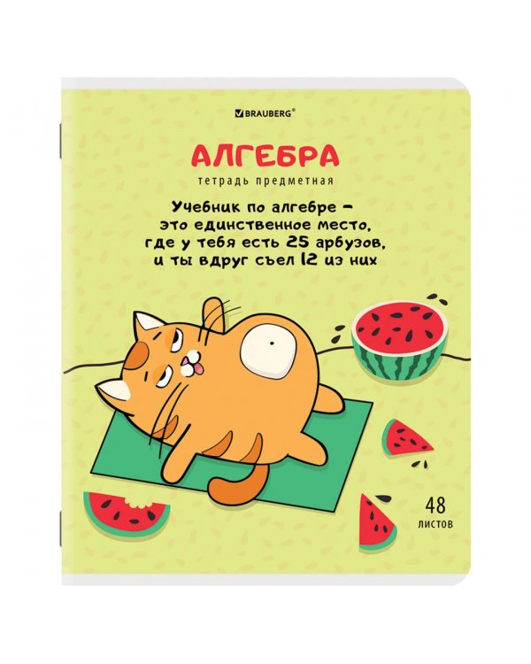Комплект предметных тетрадей Кот-энтузиаст, 48 листов, клетка, линия, 12 штук