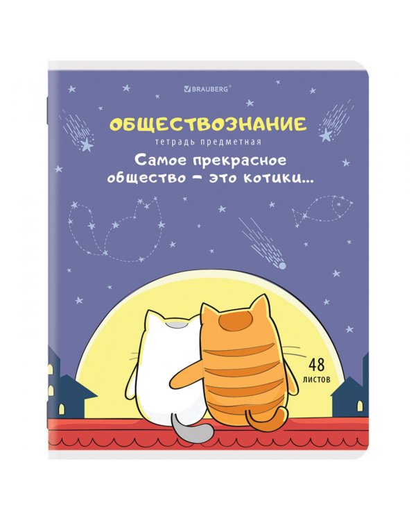 Комплект предметных тетрадей Кот-энтузиаст, 48 листов, клетка, линия, 12 штук