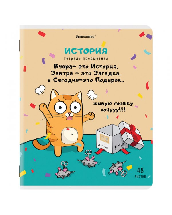 Комплект предметных тетрадей Кот-энтузиаст, 48 листов, клетка, линия, 12 штук
