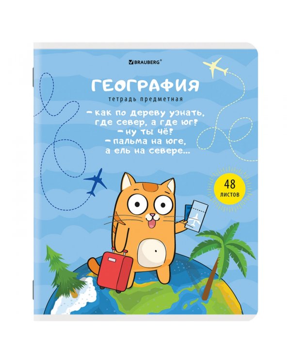 Комплект предметных тетрадей Кот-энтузиаст, 48 листов, клетка, линия, 12 штук