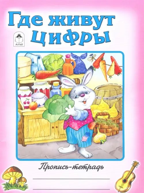 Пропись-тетрадь (цветная) Где живут цифры