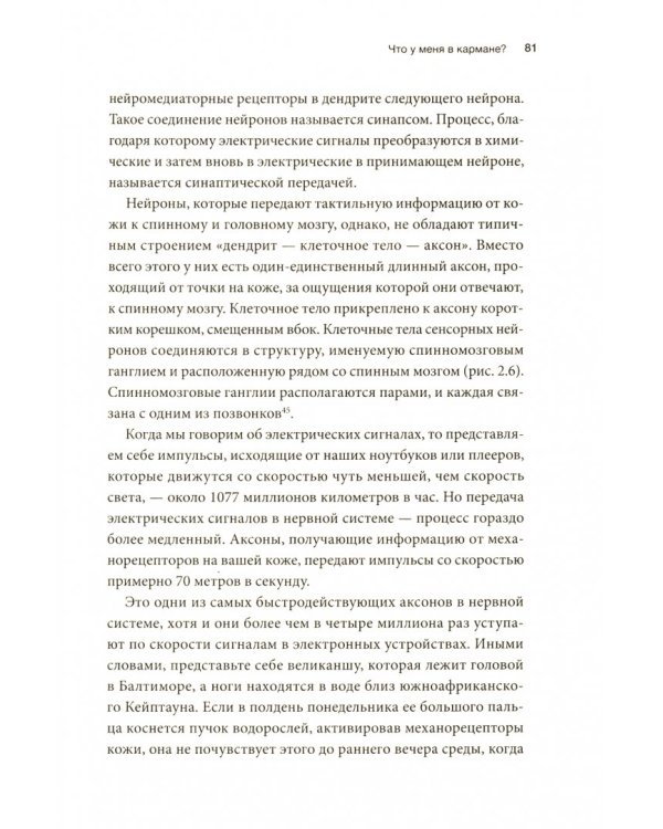 Осязание. Чувство, которое делает нас людьми