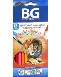 Карандаши цветные акварельные Aquarella, 12 цветов