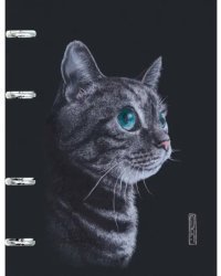 Тетрадь на кольцах Кошка, 120 листов, клетка