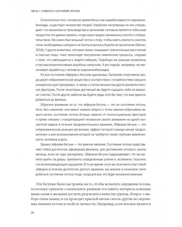 Бегущий в потоке. Как получать удовольствие от спорта и улучшать результаты