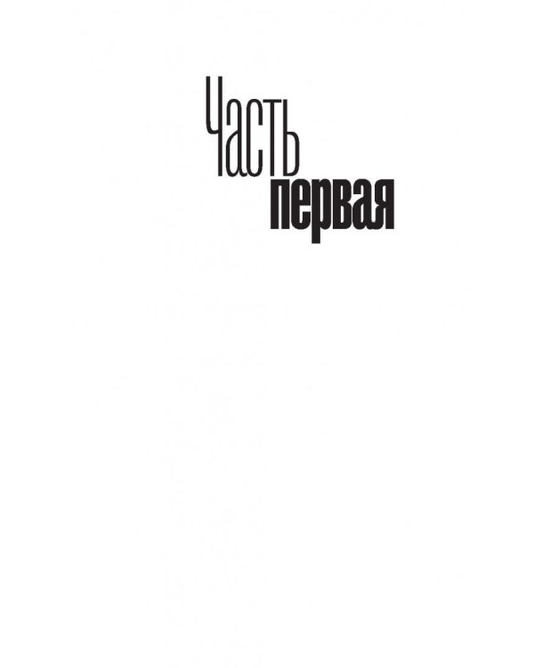 Даниэль Штайн, переводчик