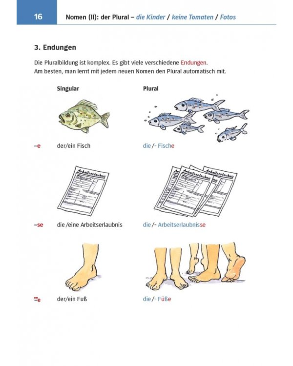 Kleine Bildgrammatik Deutsch. Deutsche Grammatik in Bildern erklärt