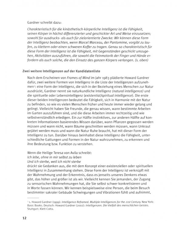 Multiple Intelligenzen im DaF-Unterricht. Aktivitäten für die Sekundarstufe