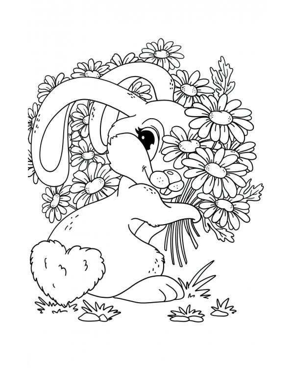 Милые зверушки