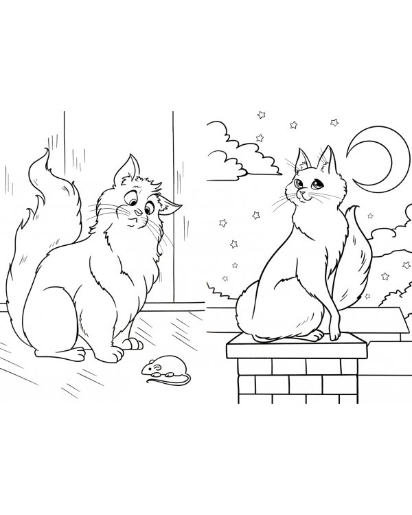 Забавные котики