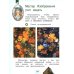 Изобразительное искусство. 1 класс. Учебник. ФГОС