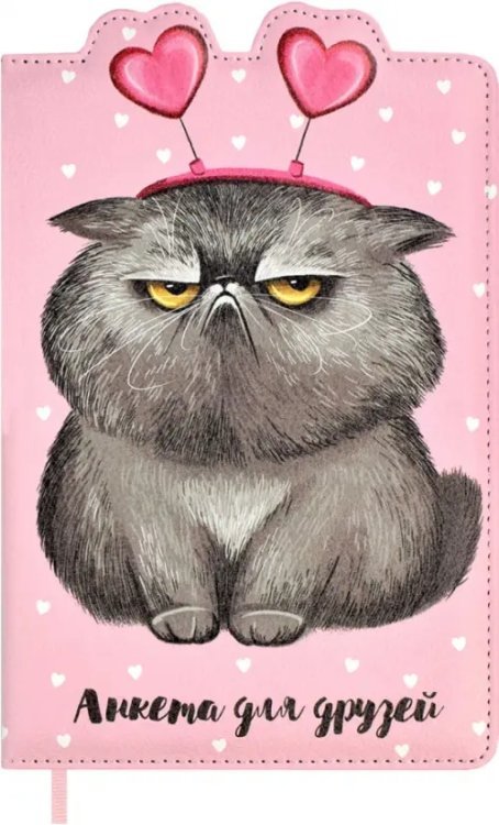 Анкета для друзей Анкета для друзей Котик