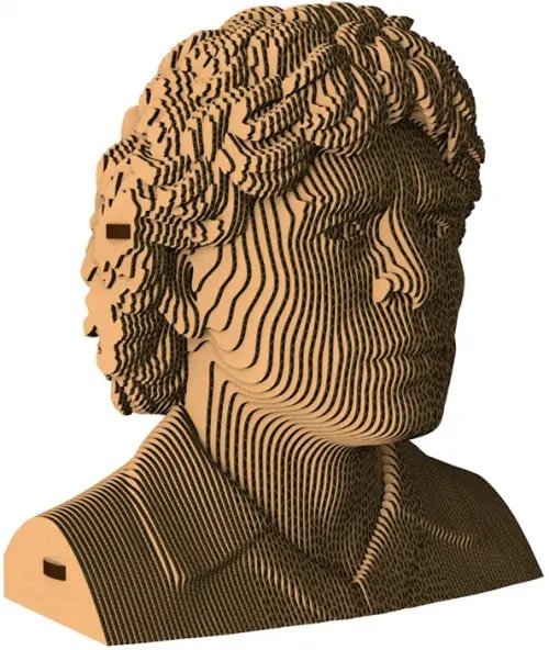 3D конструктор. Сборный бюст. Марадона 3D конструктор. Сборный бюст. Марадона