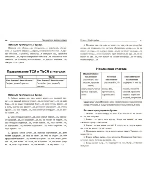 Тренажер по русскому языку. Орфография. Пунктуация
