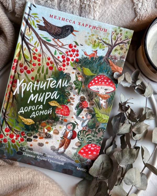 Хранители мира. Дорога домой