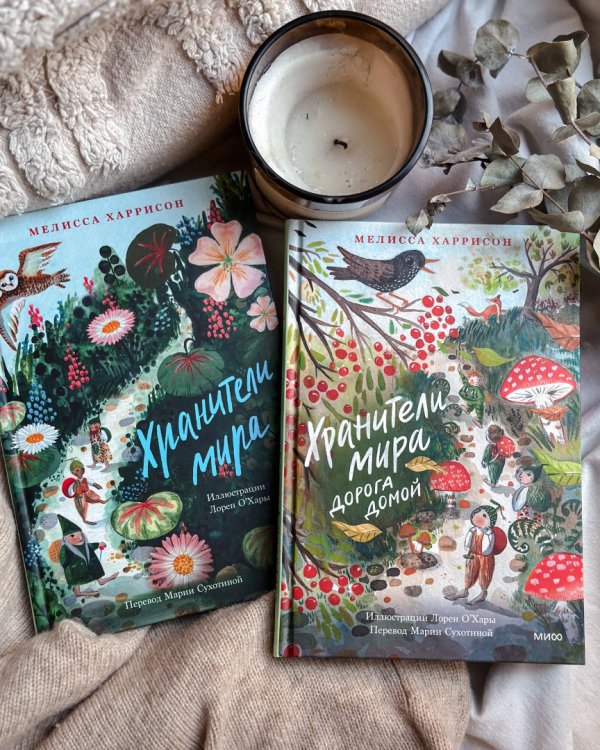 Хранители мира. Дорога домой