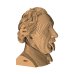 3D конструктор. Сборный бюст. Эйнштейн