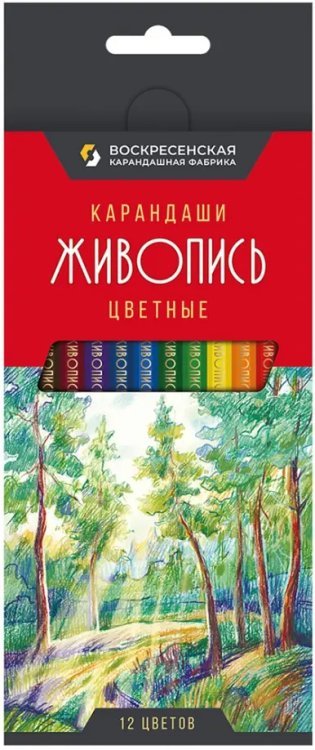 Обложка книги «Карандаши цветные Живопись, 12 цветов»