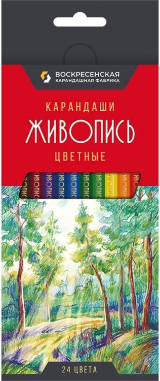 Обложка книги «Карандаши цветные Живопись, 24 цвета»