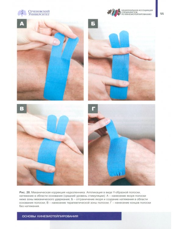 Основы кинезиотейпирования. Учебное пособие