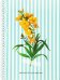 Тетрадь Flowers, голубой, A4, 80 листов, клетка, спираль