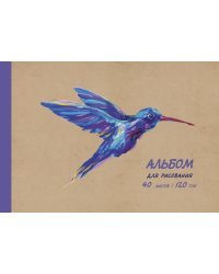 Альбом для рисования Колибри, 40 листов