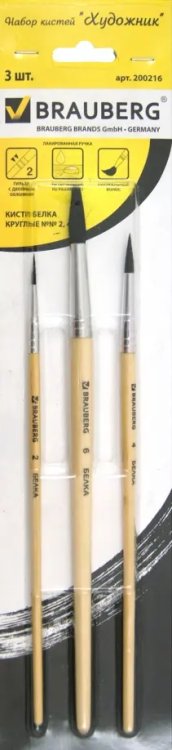 Набор кистей Художник