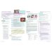 Own it! Level 4A. Combo A with Digital Pack