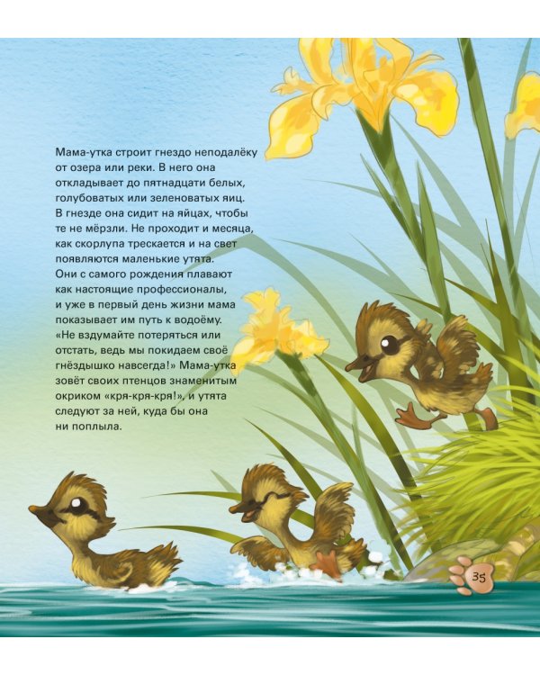 Забавные малыши животных