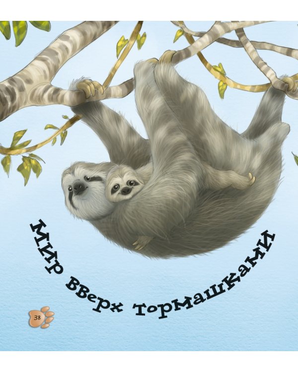 Забавные малыши животных