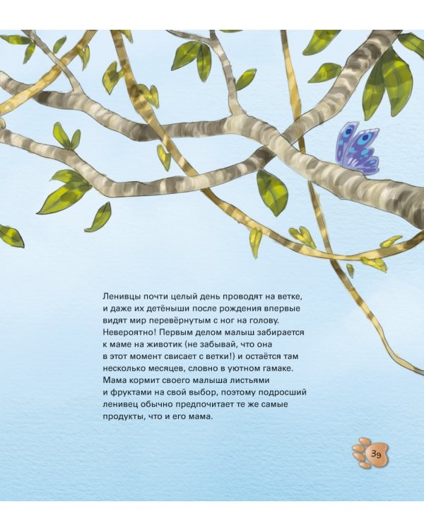 Забавные малыши животных