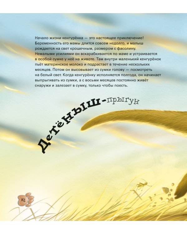 Забавные малыши животных