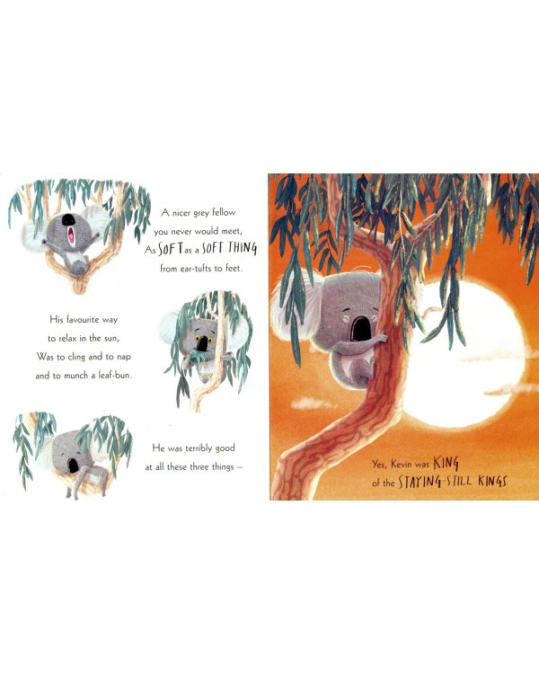 The Koala Who Could (Board Book)