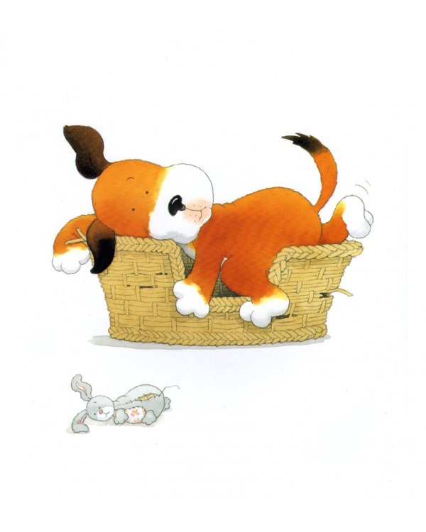 Kipper Story Collection