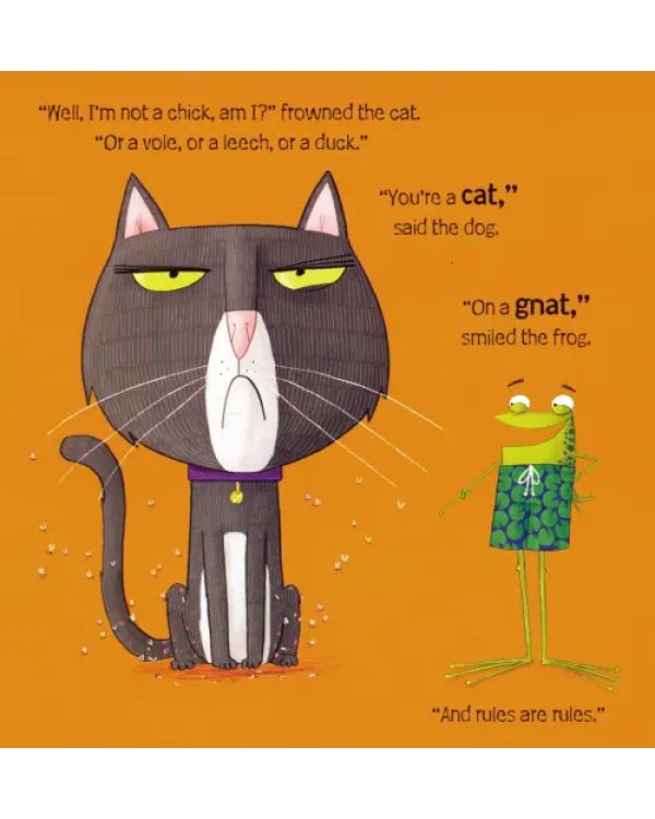 Oi Cat!