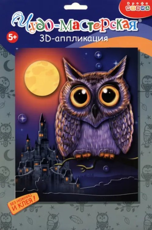 3Д аппликация. Сова