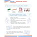 Число назови, а цифру напиши. Развивающее пособие для детей 4-6 лет