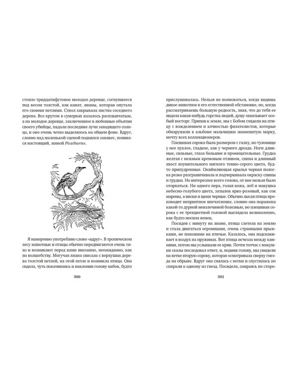 Гончие Бафута. Зоопарк в моем багаже