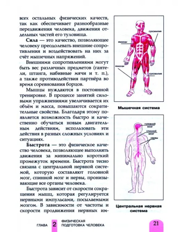 Физическая культура. 6-7 классы. Учебник