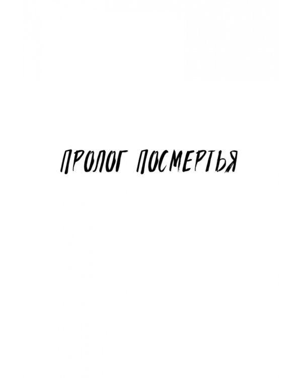 Дополнительное изображение книги «Белые пешки»